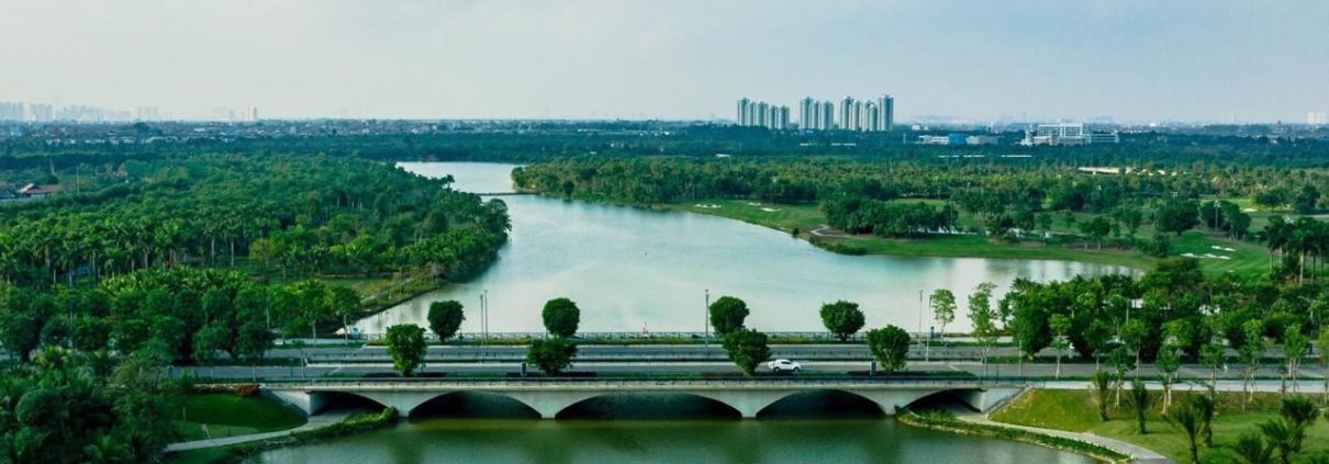 Cầu Thủy Tiên - Ecopark