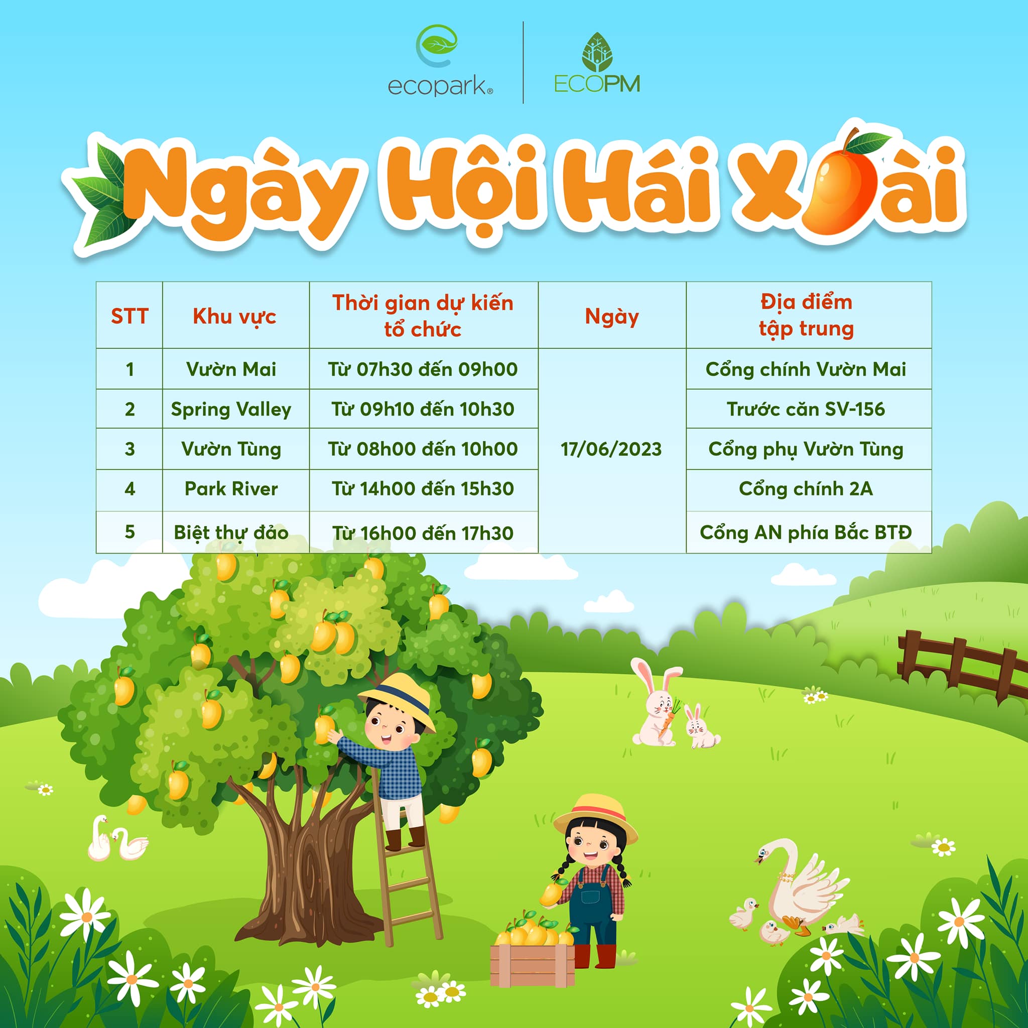 Ngày hội hái xoài tại Ecopark - 02