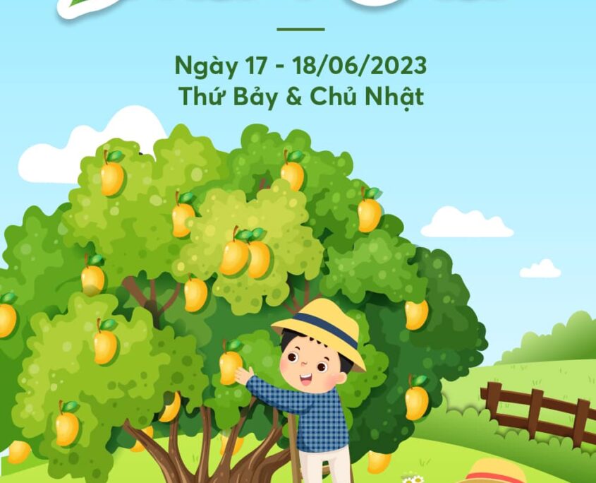 Ngày hội hái xoài tại Ecopark - 03